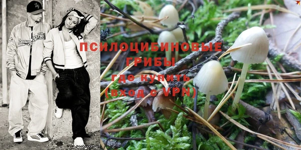 амф Вяземский