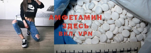 амф Вяземский