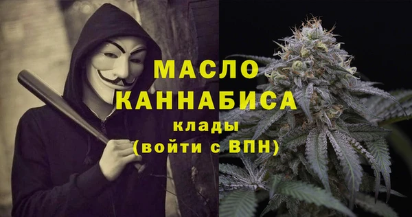 амф Вяземский
