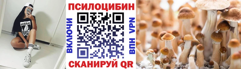 Псилоцибиновые грибы Magic Shrooms blacksprut tor Псков